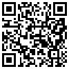 QR Code Handyversion