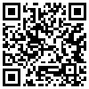 QR Code Handyversion