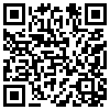 QR Code Handyversion