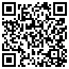 QR Code Handyversion