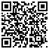 QR Code Handyversion