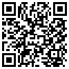 QR Code Handyversion