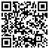 QR Code Handyversion