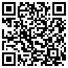 QR Code Handyversion