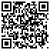 QR Code Handyversion