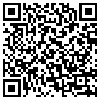 QR Code Handyversion