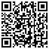 QR Code Handyversion