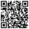 QR Code Handyversion