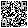 QR Code Handyversion