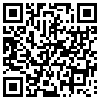 QR Code Handyversion