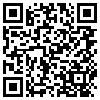 QR Code Handyversion