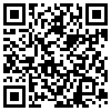 QR Code Handyversion