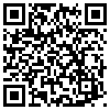 QR Code Handyversion