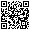 QR Code Handyversion