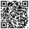 QR Code Handyversion