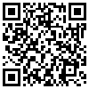 QR Code Handyversion