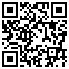 QR Code Handyversion