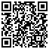 QR Code Handyversion