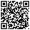 QR Code Handyversion