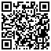 QR Code Handyversion