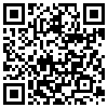 QR Code Handyversion