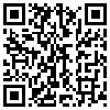 QR Code Handyversion