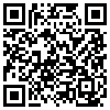 QR Code Handyversion