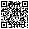 QR Code Handyversion