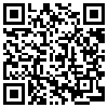 QR Code Handyversion