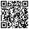 QR Code Handyversion