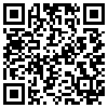 QR Code Handyversion