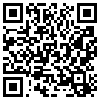 QR Code Handyversion