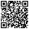 QR Code Handyversion