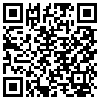 QR Code Handyversion