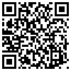 QR Code Handyversion