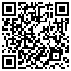 QR Code Handyversion