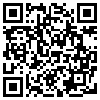 QR Code Handyversion