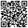 QR Code Handyversion