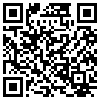 QR Code Handyversion