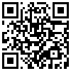 QR Code Handyversion