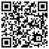 QR Code Handyversion