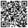 QR Code Handyversion