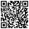 QR Code Handyversion