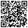 QR Code Handyversion