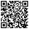 QR Code Handyversion