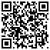 QR Code Handyversion