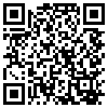 QR Code Handyversion