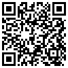 QR Code Handyversion