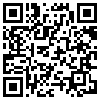 QR Code Handyversion