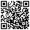 QR Code Handyversion